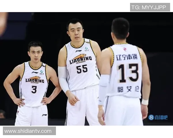 CBA常规赛第13轮辽宁队对阵佛山队精彩战报与赛后分析
